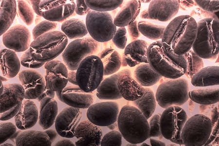 coffee beans in the negative