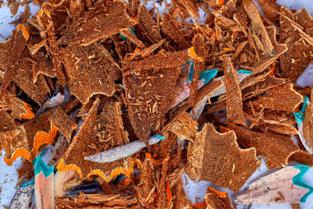 close-up of pencil wasteの写真素材