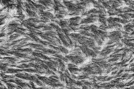 black and white backgroundの写真素材
