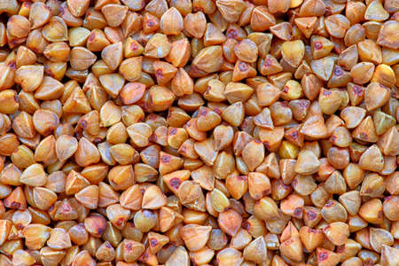 Buckwheat textureの写真素材