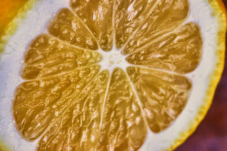 Half a citrus fruitの写真素材