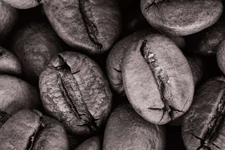 Coffee beans in black and white imageの写真素材