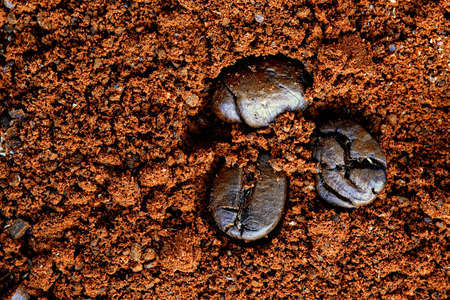 Ground coffee with beansの写真素材