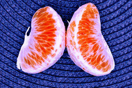 Slices of citrus fruitの写真素材