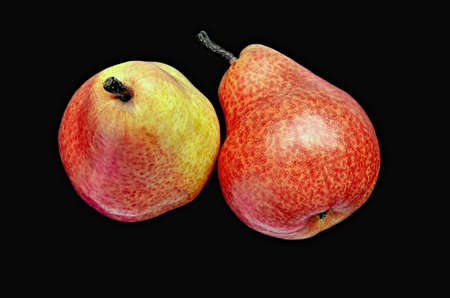 Red pears on a black backgroundの写真素材