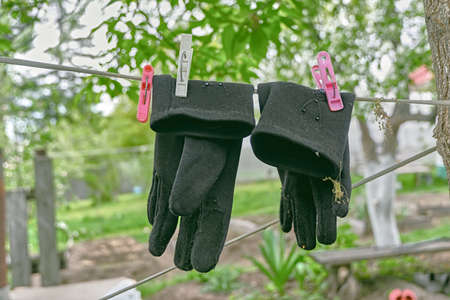 Washed clothes hang on a ropeの写真素材