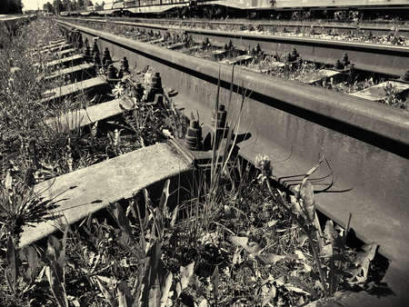railway that goes into the distanceの写真素材