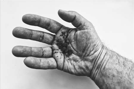 hand, hands, hold, finger, fingers, white, isolated, senior, black, body, person, people, skin, hold, ear, thumb, palm, elderly, handful, coffee, grain, monochrome, black and white, abstractの写真素材