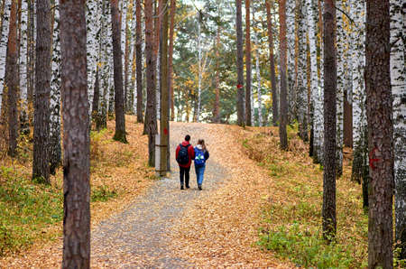nature, autumn, park, walk, young, fall, lifestyle, beautiful, people, forest, person, outdoor, happy, season, woman, girl, happiness, family, hiking, landscape, tree, yellow, leisureの写真素材