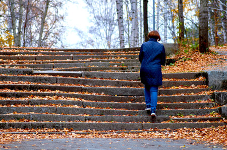 stairs, path, one, park, lifestyle, nature, autumn, outdoor, young, green, person, active, healthy, adult, forest, woman, activity, outside, female, happy, fall, exerciseの写真素材