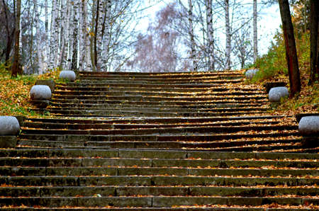 stairs, steps, up, nature, park, landscape, outdoor, tree, green, beautiful, season, autumn, forest, natural, foliage, travel, garden, plant, colorful, background, fall, leaf, path, color, summer, yelの写真素材