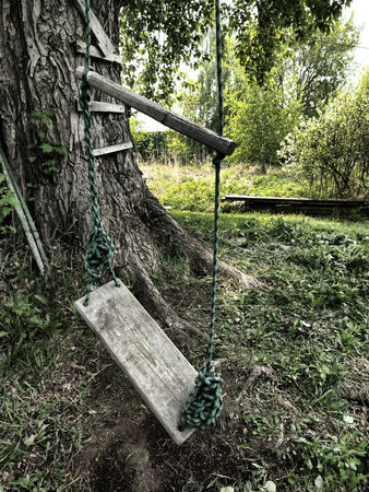 swinging, hanging, seat, grass, backyard, park, garden, design, rope, green background, nature, old wood, russia, swing, village, background, beautiful, green, landscape, natural,の写真素材