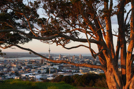 Auckland at sunsetのeditorial素材