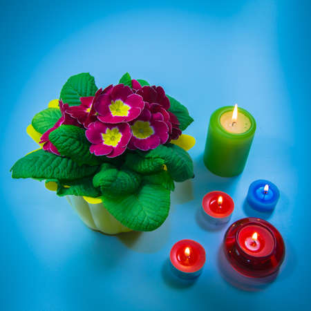 Spring decoration on tableの写真素材