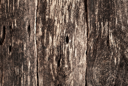 Old wood background.