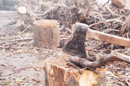 Axe in a log