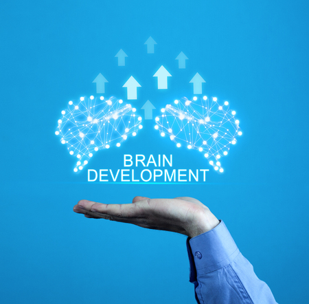 Brains with arrows. Artificial intelligence and development conceptの写真素材