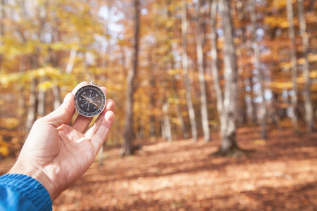 Compass in the hand in a forest.の写真素材
