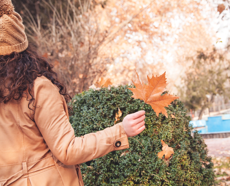Caucasian girl in a autumn park.の写真素材