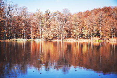 Colorful autumn with lake. Autumn Landscapeの写真素材