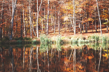 Colorful autumn with lake. Autumn Landscapeの写真素材
