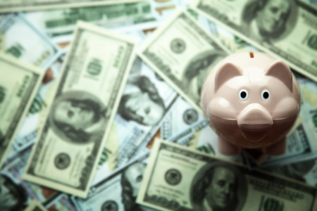 Piggy bank with dollars. Save your money