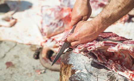 Processing fresh meat. Butcher with a knife in hand separating meat