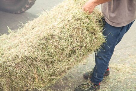 Caucasian worker. Stack of hay. Dry grass の写真素材