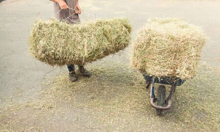 Caucasian worker. Stack of hay. Dry grass の写真素材
