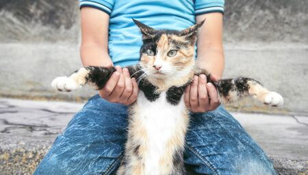 Little boy and cat in outdoors.の写真素材