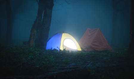 Camping tent in the forest at night.