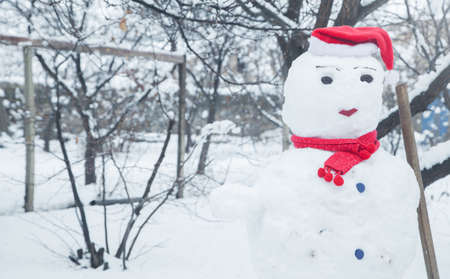 Santa Claus in the winter field.の写真素材