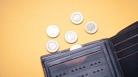 Wallet and coins on the yellow background.