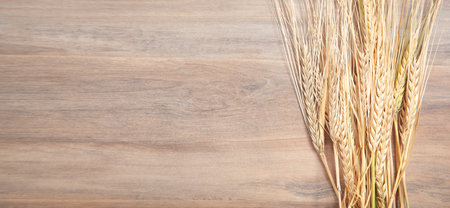 Ears of wheat grains on the wooden table.の写真素材