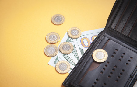 Wallet and coins on the yellow background.