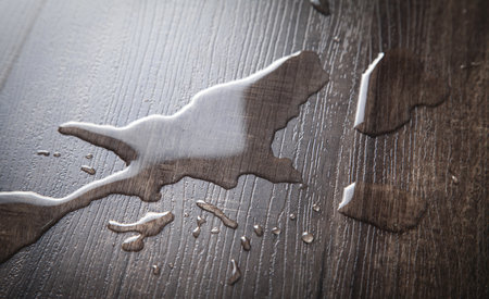 Drops of water on laminate floor.の写真素材