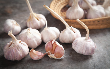Garlic bulbs on the stone background.の写真素材