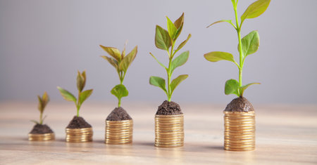 Green plants growing on coins. investment. profit. Growth. success