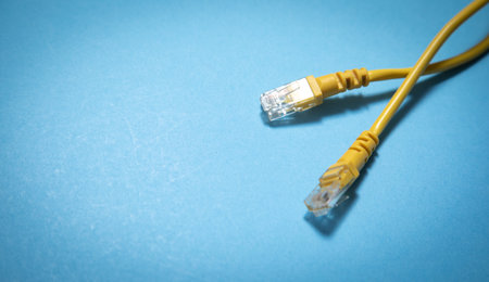 Network connection internet cable. close up