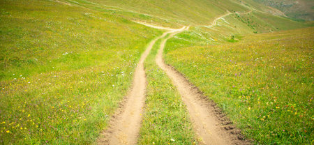 Ground road in nature. Armenia. Summer