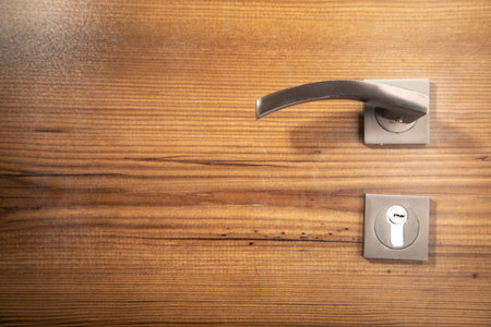 Steel door handle and dark wood.の写真素材