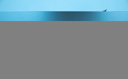 Eyeglasses and book on the blue background.の写真素材