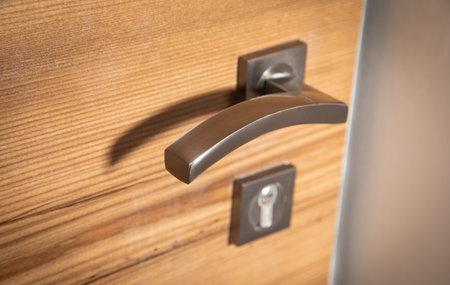Steel door handle and dark wood.の写真素材