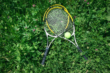 Tennis ball and racket on the green grass background.