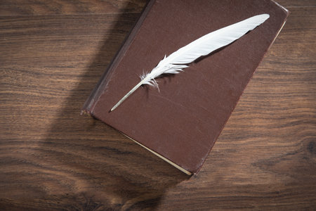 Bird feather and book on the wooden table.