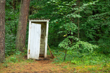 Outdoors toilet in green forest.の写真素材