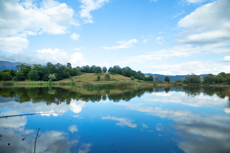 View of beautiful lake. Summer. Environmentの写真素材