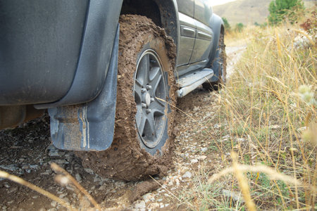 Car wheel in dirty ground road.