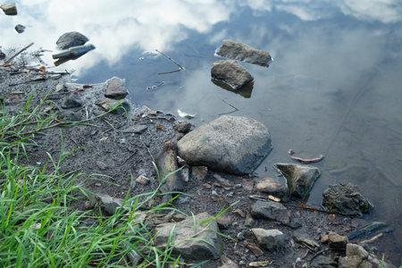 Stones of the lake. Environment