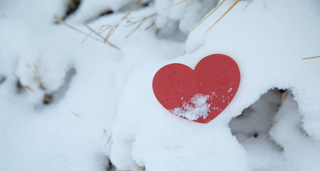Red heart on snow background at winter.
